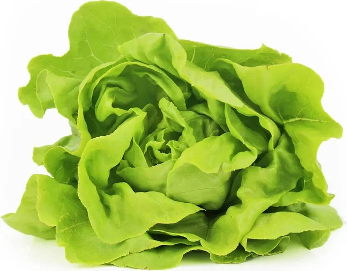 FRISCHER BUTTERLETTER BIO (ca. 0,25 kg)