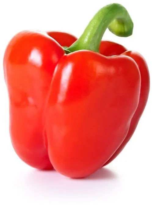 Großpackung (kg) – frische rote Paprika BIO (polnisch) (ca. 3 kg)