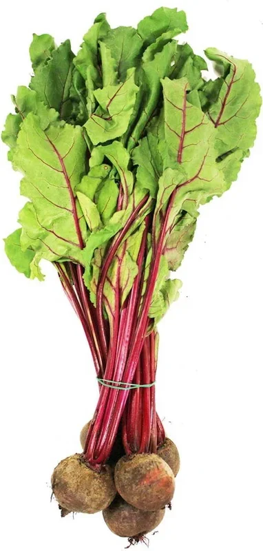 Großpackung (Stk.) – Frische Rote Beete BIO (ca. 10 Stk.)