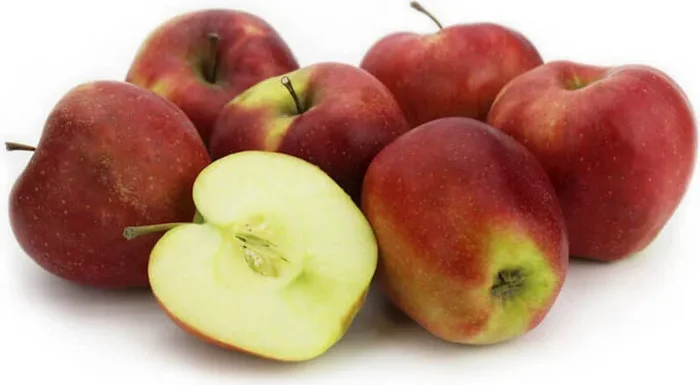 Großverpackung (kg) – frische Äpfel BIO (gloster – polnisch) (ca. 13 kg)