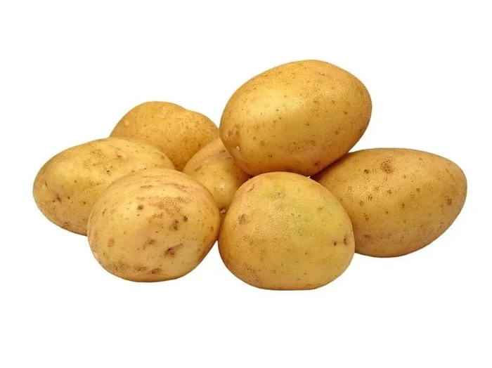 Großverpackung (kg) – gelbe Kartoffeln, jung, frisch BIO (polnisch) (ca. 10 kg)