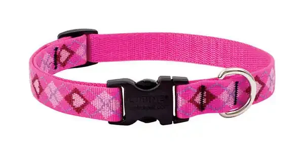 LUPINE PET ORIGINAL DESIGNS MULTICOLOR PUPPY LOVE NYLON DOG ADJUSTABLE COLLAR