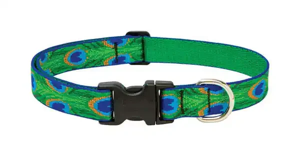 LUPINE PET ORIGINAL DESIGNS MULTICOLOR TAIL FEATHERS NYLON DOG ADJUSTABLE COLLAR