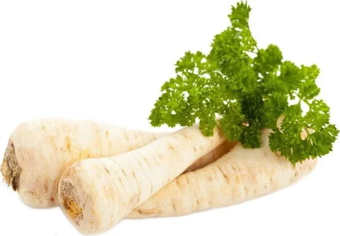 MULTIPACK (kg) – BIO FRISCHE PETERSILIE (ca. 5 kg)