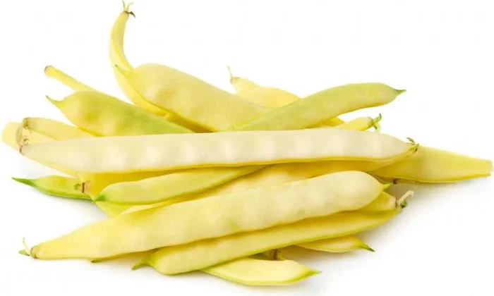 MULTIPACK (kg) – FRISCHE BIO FLACHE BOHNEN (ca. 4 kg)