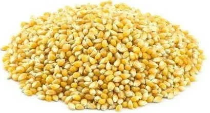POPCORN (MAISKORN) BIO (ROHSTOFFE) (25 kg)