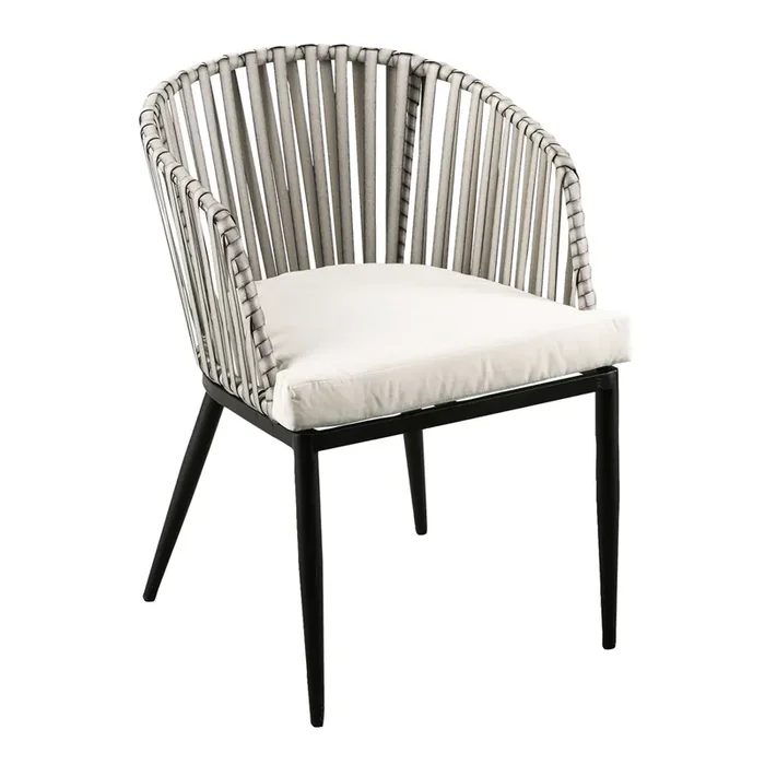 Salinas All Weather and Metal Outdoor Chair 2 Piece Set