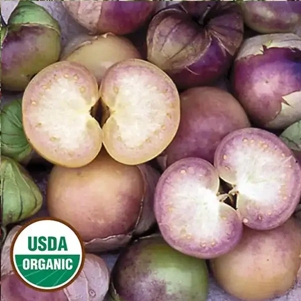 SEEDS TOMATILLO, PURPLE