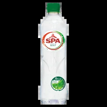 Spa Sparkling spring water mint small