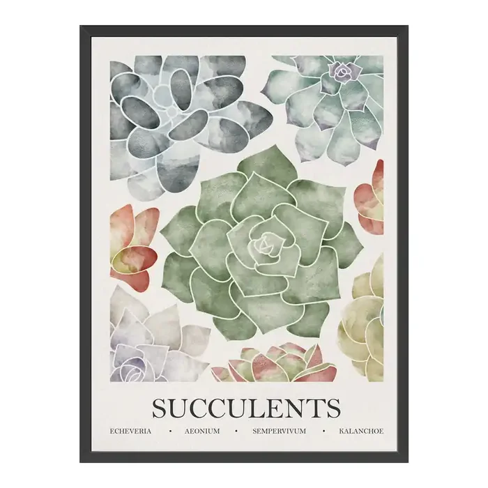 Succulents by Gia Hoang Framed Wall Art