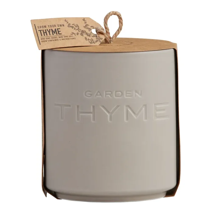 Urban Agriculture Garden Thyme Ceramic Planter Grow Kit