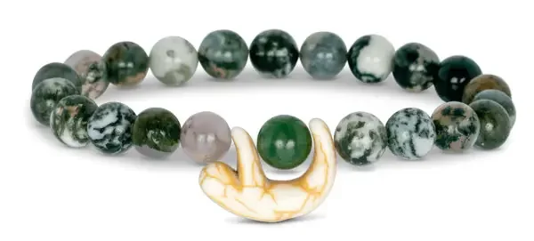 WANDER RAINFOREST GREEN SLOTH