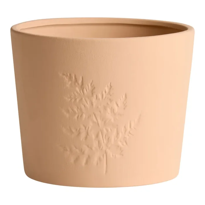 Washed Terracotta Ceramic Fern Planter